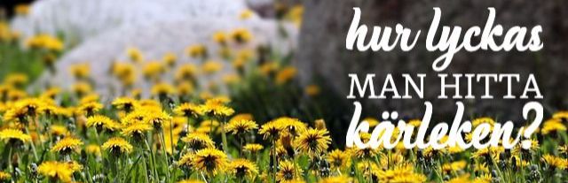 Hur lyckas man hitta kärleken?